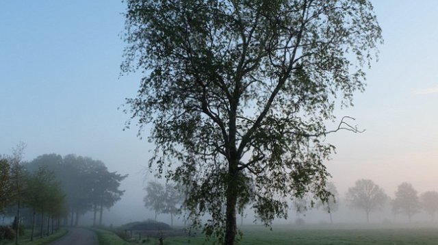 Dauwtrappen (donderdag 13 mei 2021)